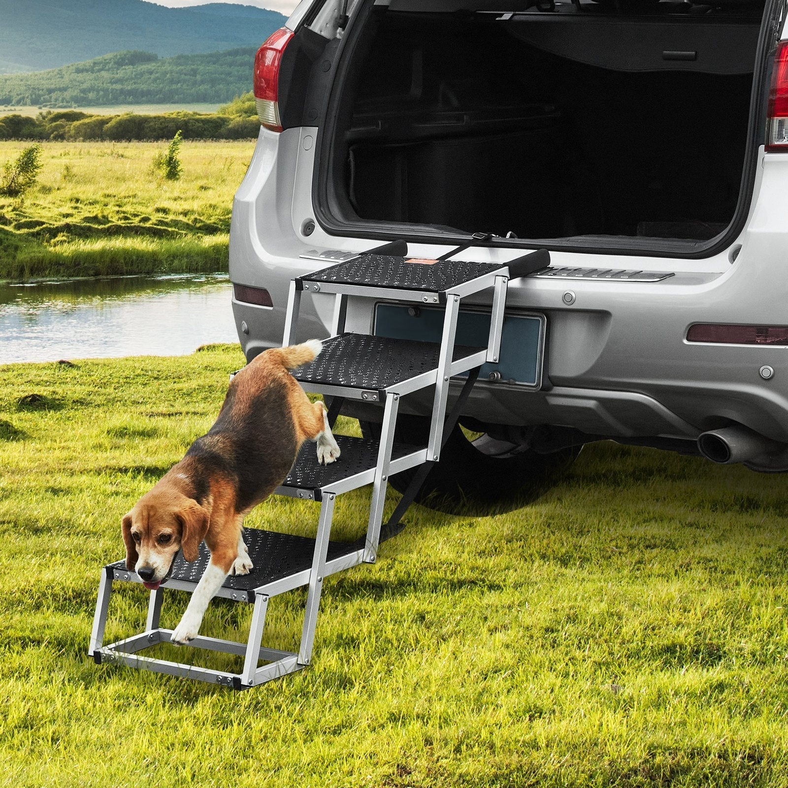 Ramp for car