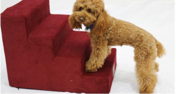 Pet Stair Ladder – Foldable Dog Steps for Beds, Sofas & Cars, Anti-Slip Design