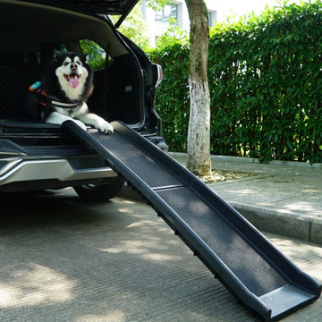 Portable Bi-Fold Pet Ramp Ladder – Black, Rugged Ramp for Trucks, SUVs & Dirt Bikes