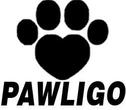 Pawligo