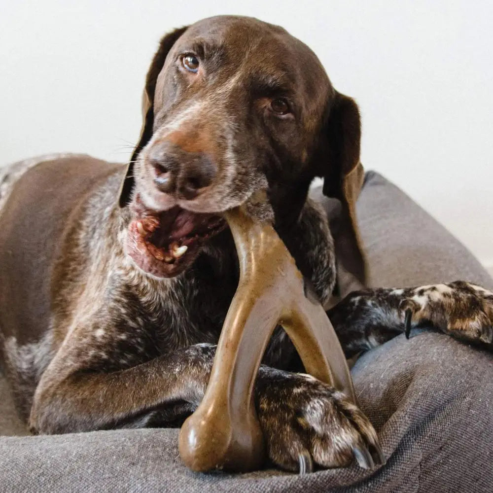 Wishbone Dog Chew Toy – Ultra Durable, Real Chicken Flavor, Made in USA