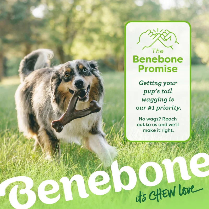 Durable Wishbone Dog Chew Toy – Tough Long-Lasting Bone with Real Bacon Flavor