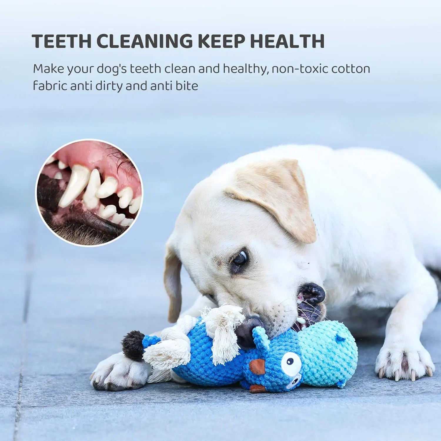 Durable Dog Plush Squeaky Toy – Chew Resistant Stuffed Animal with Crinkle Paper