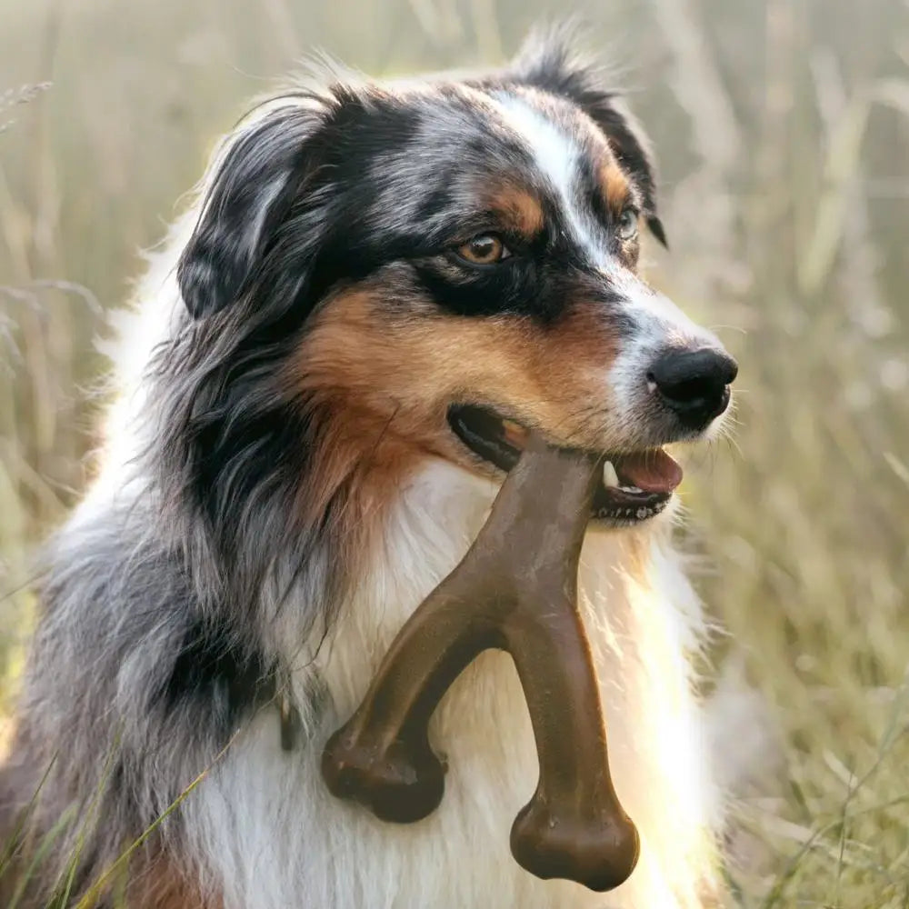 Wishbone Dog Chew Toy – Ultra Durable, Real Chicken Flavor, Made in USA