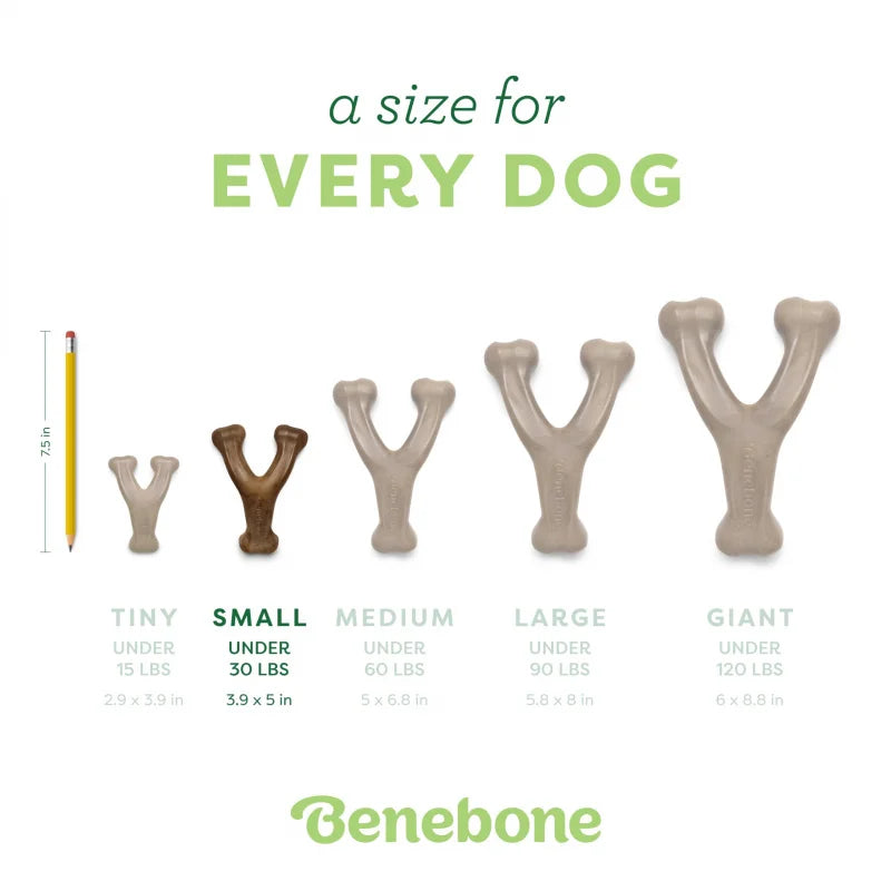 Durable Wishbone Dog Chew Toy – Tough Long-Lasting Bone with Real Bacon Flavor