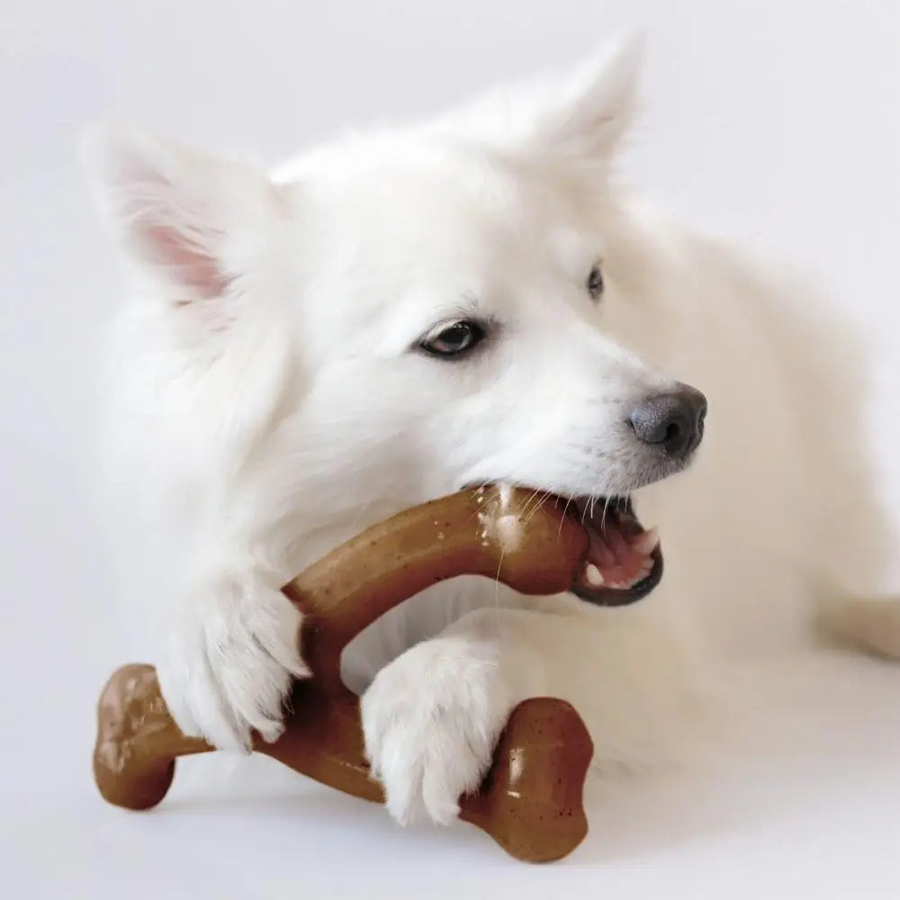 Wishbone Dog Chew Toy – Ultra Durable, Real Chicken Flavor, Made in USA